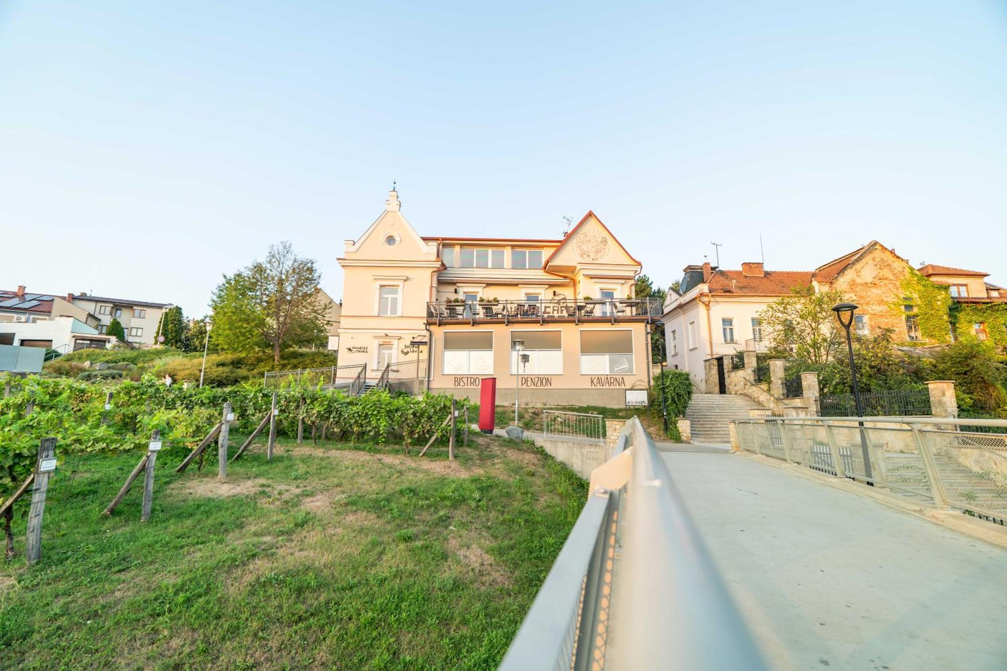 Penzion Nad Lávkou Uherský Brod Exterior foto