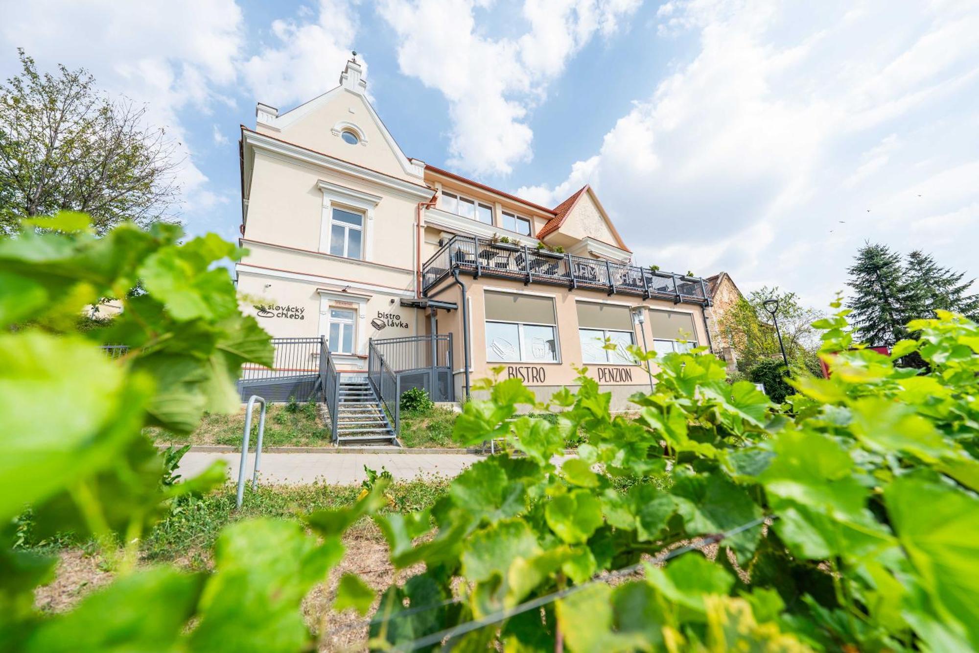 Penzion Nad Lávkou Uherský Brod Exterior foto
